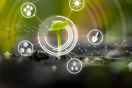 UK Collaborates to Advance Agricultural Technology in Guatemala