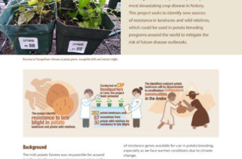 New sources of resistance to potato late blight disease in Peru. Project profile.