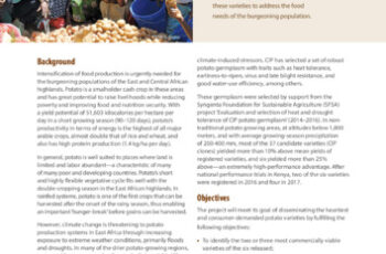 Dissemination of climate-smart, consumer-demanded potato varieties in the mid-elevation highlands of Kenya. Project profile.