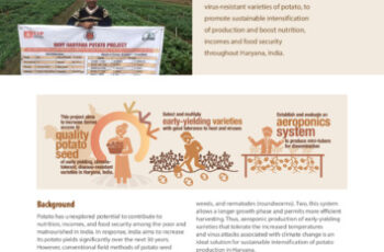 Potato for nutrition, food security, and economic wellbeing in Haryana, India. Project profile.