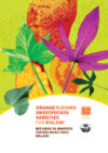 Orange fleshed sweetpotato varieties for Malawi. Mitundu ya mbatata yofiira mkati yaku Malawi