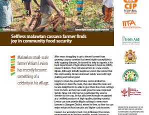 Selfless malawian cassava farmer finds joy in community food security. Outcome story.