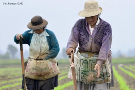 Agroecology: Possible pathways to inclusive and sustainable food systems in Latin America
