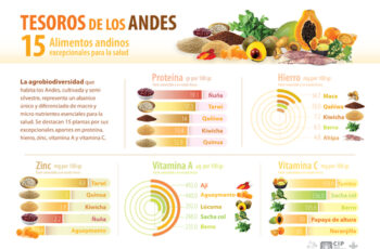 Tesoros de los Andes: 15 alimentos andinos excepcionales para la salud