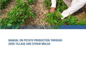 Manual on potato production through zero tillage and straw mulch