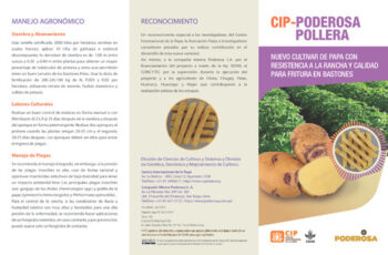 CIP-Poderosa pollera. Nuevo cultivar de papa con resistencia a la rancha y calidad para fritura en bastones