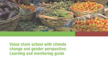 Value chain school with climate change and gender perspective: Learning and monitoring guide.