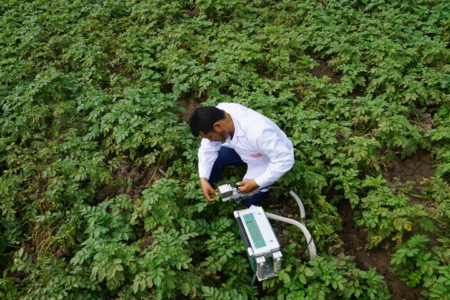 Detección de estrés temprano en cultivos con un enfoque basado en la planta