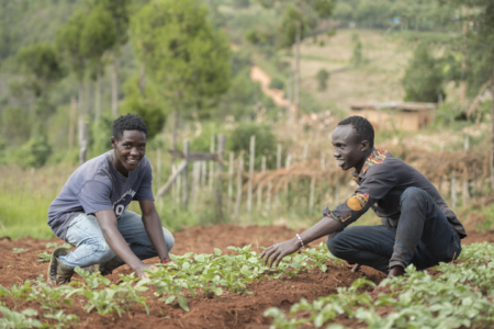 Developing smallholder value chains – Kenya