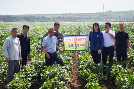 Potato growers in Northwest China take a step toward late blight prevention and quality control