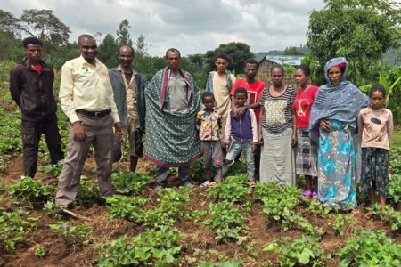 Growing prosperity: CIP and EIAR’s partnership boosts OFSP production in Ethiopia