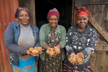 How CGIAR Partnerships secure the future of potatoes in East Africa