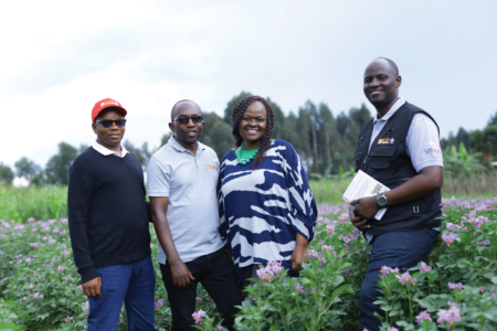 The Partnership drives Early Generation Seed production for new potato varieties in Rwanda