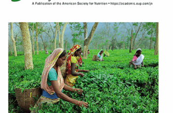 Iron Absorption from Iron-Biofortified Sweetpotato Is Higher Than Regular Sweetpotato in Malawian Women while Iron Absorption from Regular and Iron-Biofortified Potatoes Is High in Peruvian Women