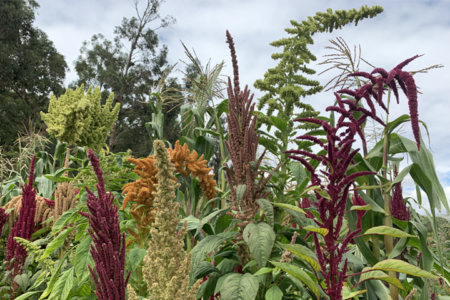 Food for Nourishment, Food for Empowerment
